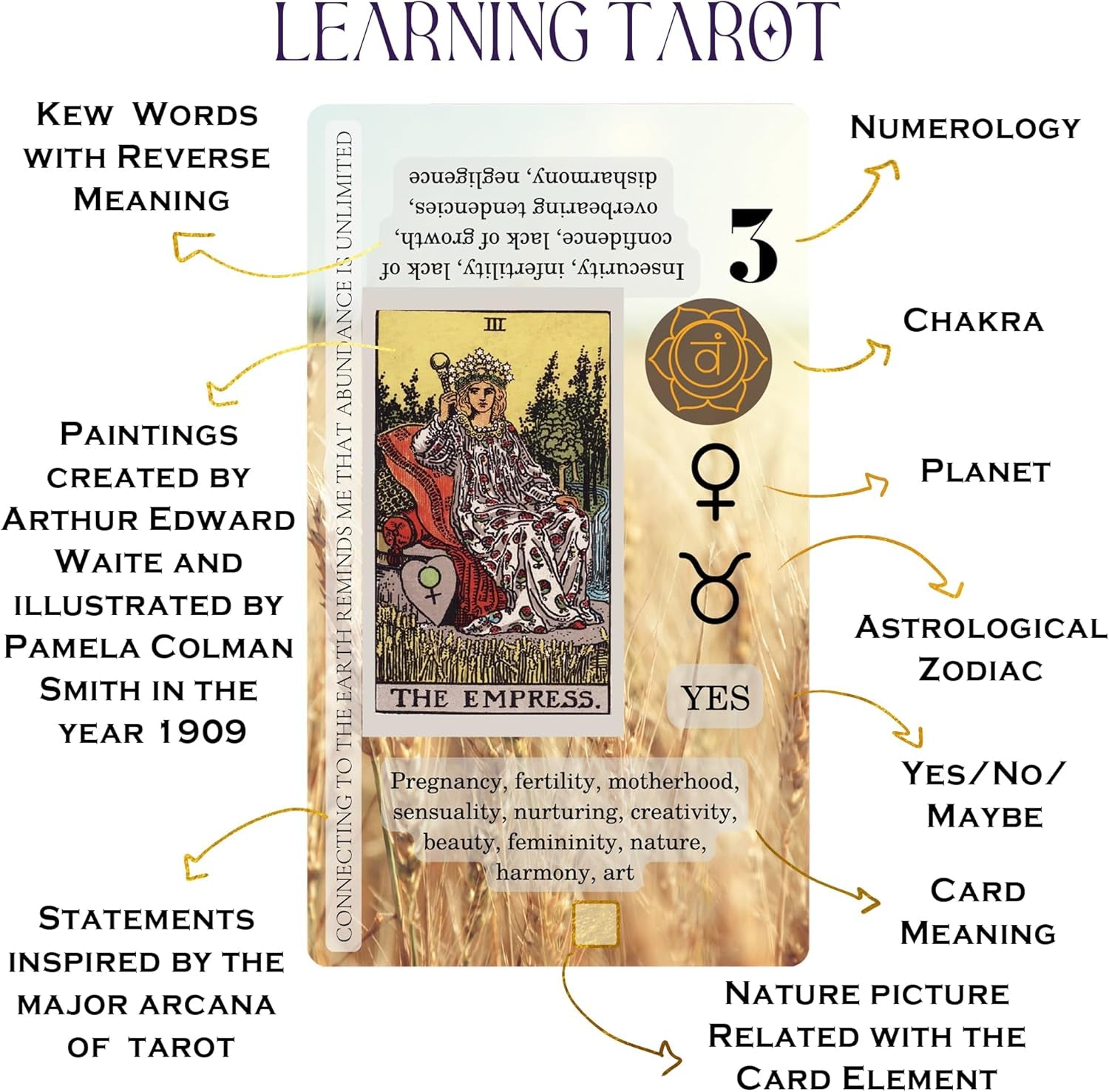 Tarot Learning Set for Beginners: Learning Tarot Cards for Beginners, Satin Tarot Holder and Tarot Journal for Planning Spiritual (Lavender)