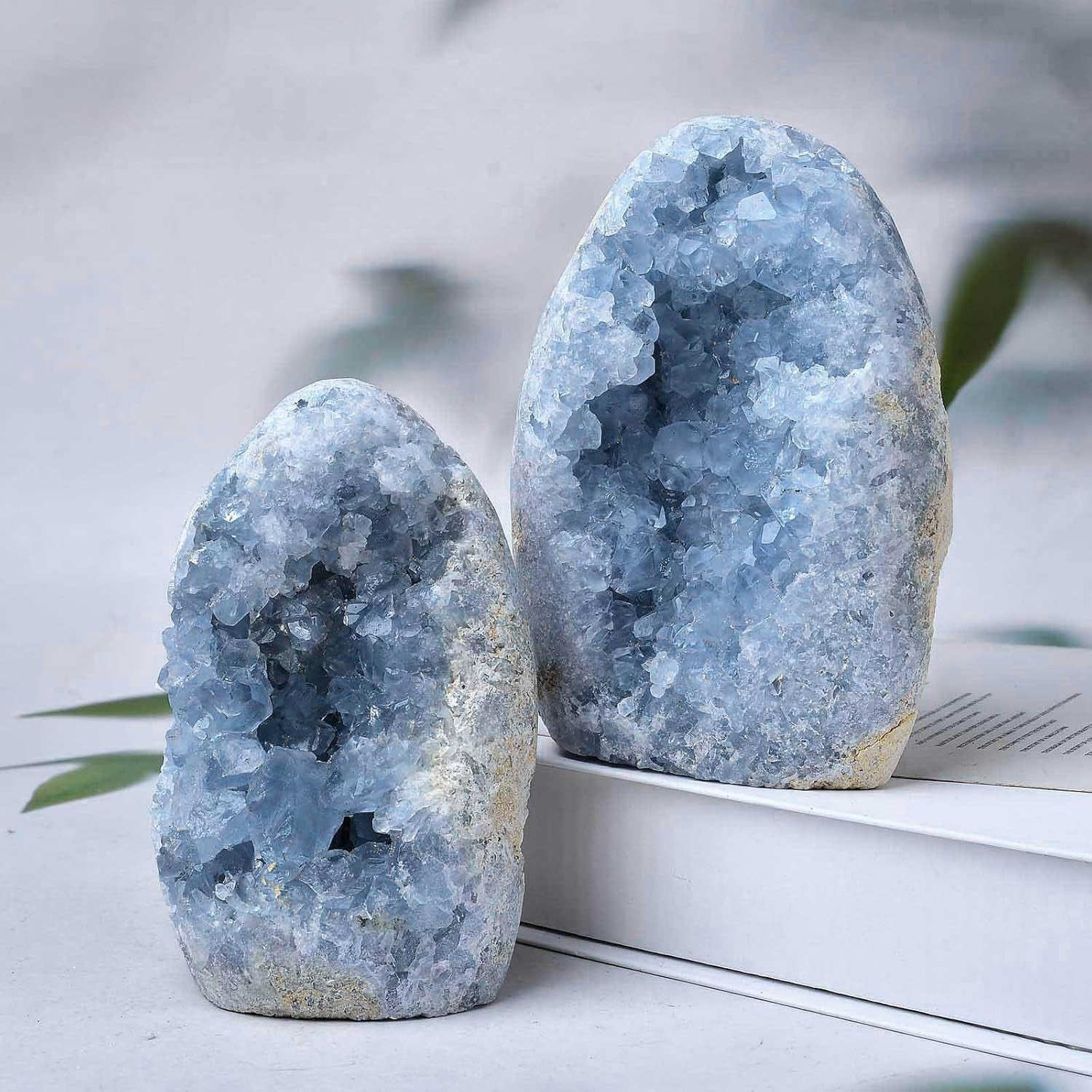 Natural Blue Celestite Cluster Geode Healing Crystal Stone Collection Mineral Specimen Home Office Decor Meditation Gifts 0.8-1.3 Pound