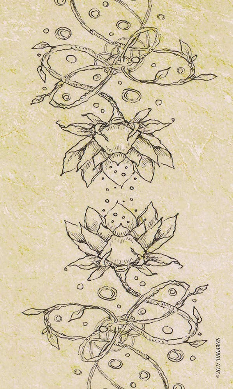 Spiritsong Tarot: 78-Card Tarot Deck with Animal Spirit Guides, Shamanic Symbolism, Hand-Drawn Visionary Artwork, Divine Guidance, 108-Page Guidebook